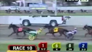 Hambletonian 2010 -Muscle Massive