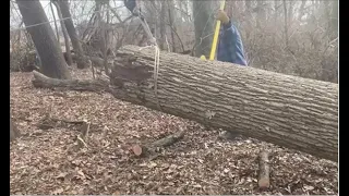 Log pulling