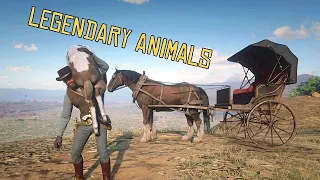 RDR2 - How to Legally Visit New Austin for Arthur and Hunt Legendary Animals