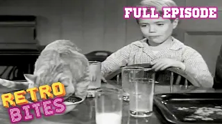Cat That Came To Dinner | Lassie | Full Episodes | Old Cartoons | Old Cartoons