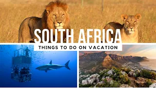 Top 5 Things to do in South Africa (2024 Guide)