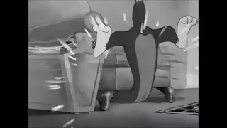 Tom  and Jerry  amv