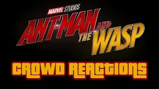 Ant-Man and the Wasp • FUNNY MOMENTS • Audience Reaction (Spoilers)