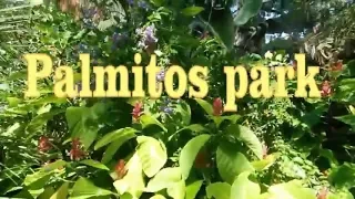 Пальмитос парк (Palmitos park). Гран Канария (Gran Canaria). Испания.