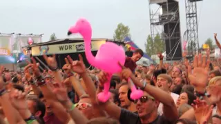 Teaser Highfield Festival 2015 - moritz.medien