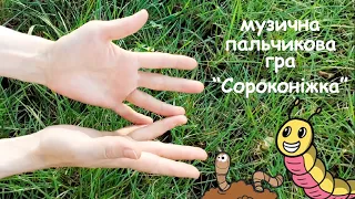 Музична пальчикова гра "Сороконіжка"! Fingerplay! (ЗІ ЗБІРКИ: ВИПУСК 2 - музичні пальчикові ігри)