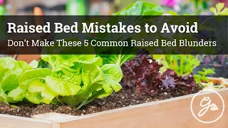 Don’t Make These 5 Raised Bed Gardening Mistakes!