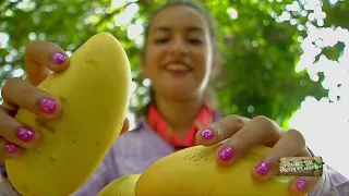 Veracruz Agropecuario - Feria del Mango 2024 y 4ª Expo Café Plan de las Hayas