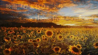 『I Girasoli 』   Love theme from "Sunflower"  PIANO SOLO
