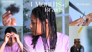 4 MONTHS OF PLAITS DONE! Properly Take Down Protective Style, Breakage, Length Check, Shedding, etc