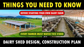 Dairy Shed Design, Construction Plan Information | Dairy Cow Farming