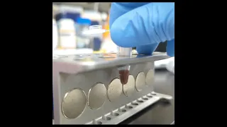 DNA Purification on Magnetic Beads | Salk Institute Research