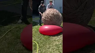 1300LB Rubber Band Ball Vs. Giant Water Balloon #Shorts