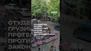 В Грузии началась студенческая забастовка против законопроекта об «иноагент:ках»