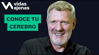 Así funciona tu cerebro. David Bueno, catedrático de neuroeducación