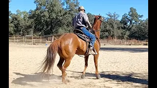 Teach the Anxious Horse How to Relax - Part 1 - Mike Hughes, Auburn California