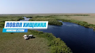 Рыбалка на Хищника в Карагандинской Области. Конские Степи