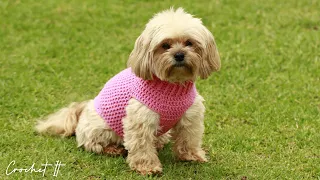 How to Crochet a dog sweater | Small | Full tutorial | Sweater and Hat matching set