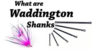 What is a Waddington Shank | Fly Tying Tip for Intruder Flies and Big Streamers