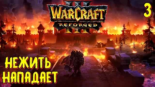 Играем за Альянс, Нежить уже рядом ► Warcraft III: Reforged #3