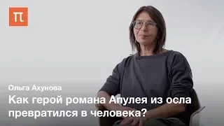 Греческие источники романа «Метаморфозы, или Золотой осел» — Ольга Ахунова