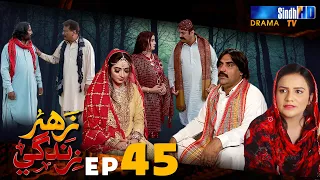 Zahar Zindagi - Ep 45 | Sindh TV Soap Serial | SindhTVHD Drama