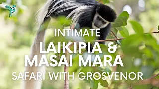 Intimate Laikipia & Masai Mara Safari with Governors - Kenya Travel Package | Explorer Safari