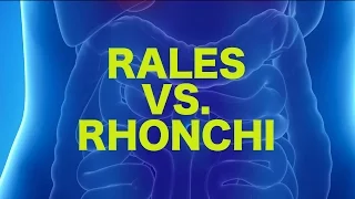 Rales vs. Rhonchi || USMLE