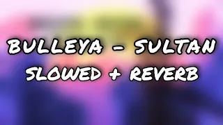 Bulleya { slowed + reverb ] | Sultan | Salman Khan, Anushka Sharma | Papon | Vishal & Shekhar