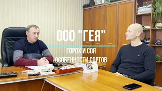 Особенности сортов гороха и сои - ООО Гея, Алтайский край