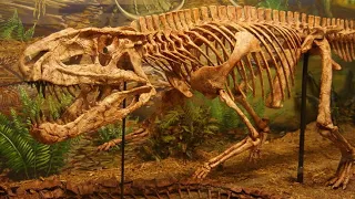 Postosuchus: The Triassic Equivalent Of Tyrannosaurus Rex