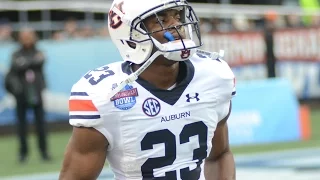 Johnathan Ford (Auburn S) vs LSU 2015