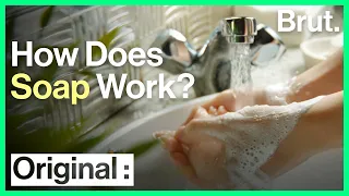 How Does Soap Kill Bacteria? | Brut