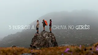 3 Burros à Chuva no Gerês no Verão - Travessia de 3 dias