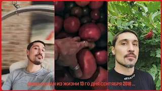 Дима Билан Из жизни 13 го дня сентября 2018 ... дома