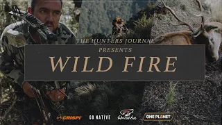 Wild Fire - New Zealand bowhunting for red stags and sika stags