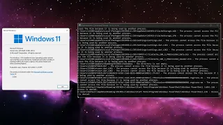 Destroying Windows 11 Build 21380!