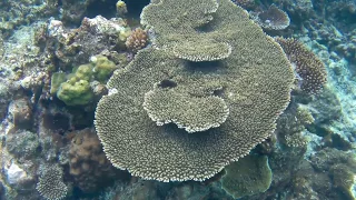 Jinek Bay - Lifou Island - New Caledonia