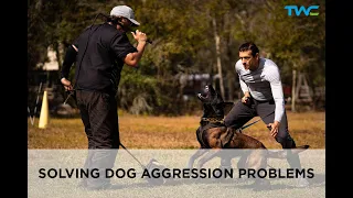 SOLVING DOG AGGRESSION WITH BITE WORK || Live Conversation with 2-time World Champion Ivan Balabanov