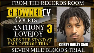 Anthony Lovejoy testifies about becoming a big time hustler in the Seven Mile Bloods gang
