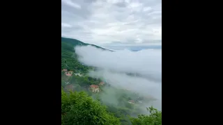 طبیعت رویایی از روستای زیبای طویر مرزن اباد چالوس در ابر و مه