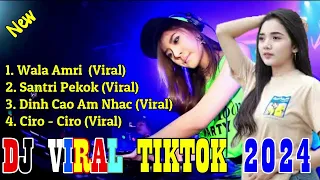 Dj Viral Tiktok Terbaru 2024