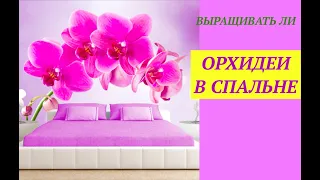 КОГДА ОРХИДЕИ НЕЛЬЗЯ ВЫРАЩИВАТЬ В СПАЛЬНЕ? 🌸 #ОПАСНЫЕ_РАСТЕНИЯ фаленопсис #phalenopsys #oldenburg_ru