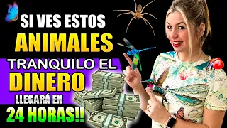 SI Ves ESTOS ANIMALES en Tu CASA!🐞💰 PREPÁRATE UNA GRAN SUMA DE DINERO se APROXIMA A TU CASA!!