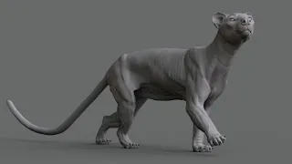 Animal Anatomy: Modeling a Fossa with Aritz Basauri