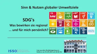 Sinn & Nutzen globaler Umweltziele| SDG's| Was bewirken sie regional?