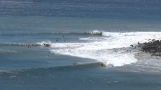 Surfing The Californian Cape St Francis