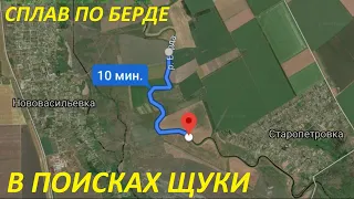 Щука летом на  Берде