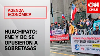 Experto por situación de Huachipato: "La salvaguarda causa un mercado distorsionado donde no lo hay"