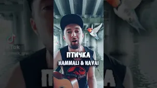 Hammali &Navai - Птичка (кавер) #shorts